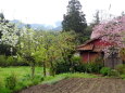 雨あがり 山村の静かな春