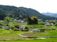 新緑の山村集落