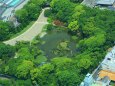 新緑の慶沢園