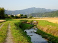 麦秋 里の夕暮れ