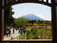 本栖湖リゾートから望む富士山