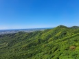 湖西の連峰