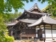 春の三室戸寺