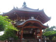 夏の興福寺南円堂