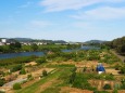 秋の船岡城址公園