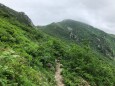 大日岳への道