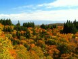 秋の高原
