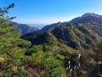 野登山の稜線