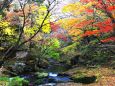秋の渓流
