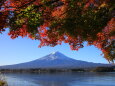 富士山&紅葉