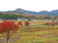 山里の秋 紅葉