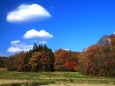 秋風景