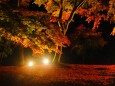 秋の夜の小諸城址公園