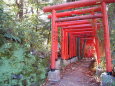 石浦神社へ続く道 2023年