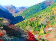 雪と紅葉の養老公園