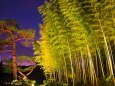 秋の夜の昭和記念公園