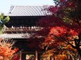 秋の南禅寺