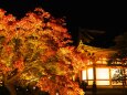 秋の夜の東寺
