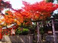 秋の車折神社