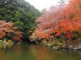 秋の成田山公園