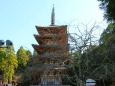冬の醍醐寺