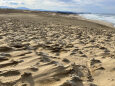 冬の砂丘と海 2