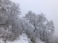 新雪の登山道