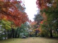 高山城本丸にて