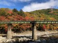 秋の鉄橋