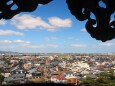春の丸岡城から見る風景