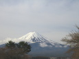 桜を待つ富士山