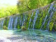 山中湖花の都公園の滝