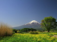 春富士山