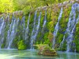 山中湖花の都公園の滝