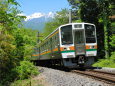 新緑の踏切から望む飯田線