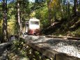 木漏れ陽の森林鉄道
