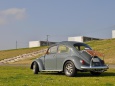 春・VW-Beetle