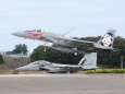 F-15J 203SQ戦競塗装機