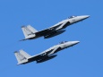 F-15J 204SQ戦競塗装機