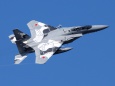 アグレッサー F-15DJ 02-8072