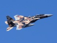 アグレッサー F-15DJ 72-8090