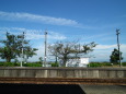 天高く・筑後平野の無人駅に佇む