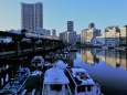芝浦の朝を走る東京モノレール