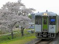 桜の有る駅「夏井」