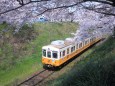 桜とローカル電車