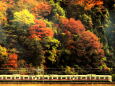高尾山の紅葉と京王電車