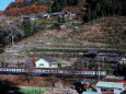 昭和の鉄道14 山里の旧型電車