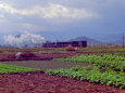 会津の田園風景～1972年