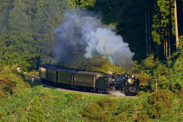 D51 498 陸羽東線2004