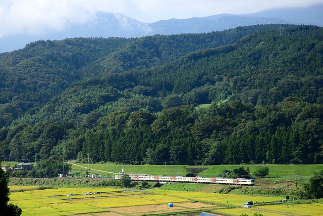 特急「草津」185系俯瞰